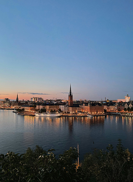 Stockholm travel risk security advice solace global