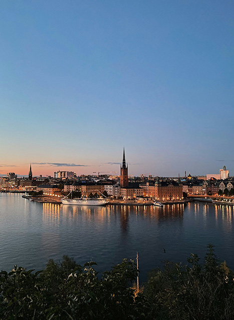 Stockholm travel risk security advice solace global
