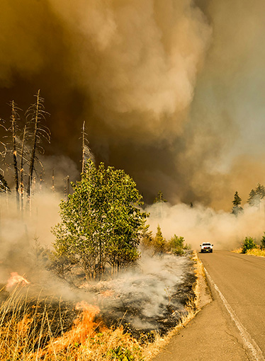 wildfires travel risk security advice solace global