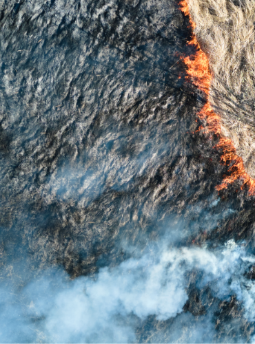 Crisis Response for Natural Disasters