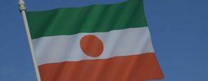 Flag of Niger in West Africa