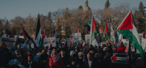 pro-Palestine protest. nakba day 2024