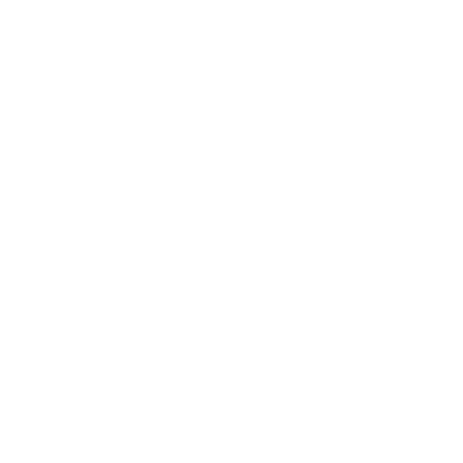 security driver
