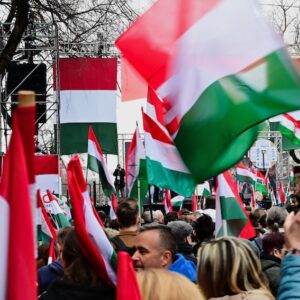 Hungary Election Guide Solace Global
